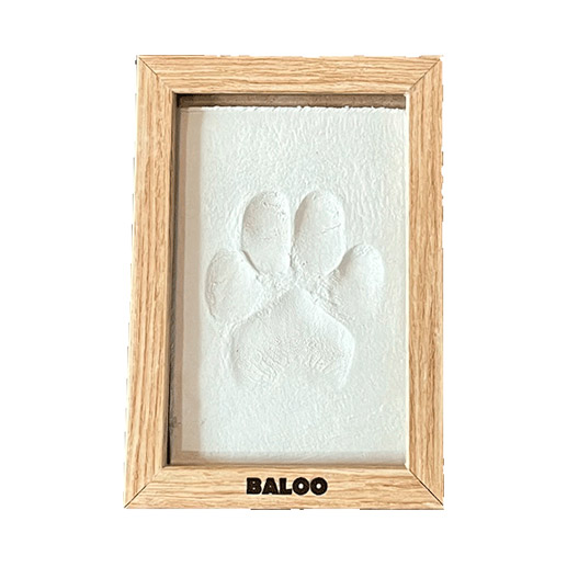 Categoría de recuerdos