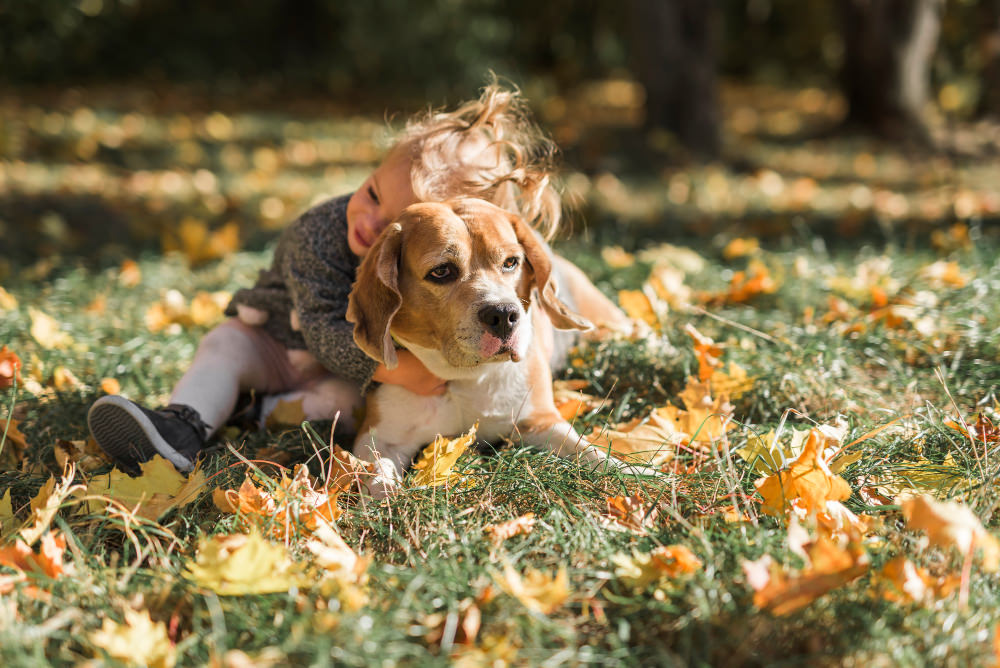 Niña pequeña abrazando a un perrito en el césped
